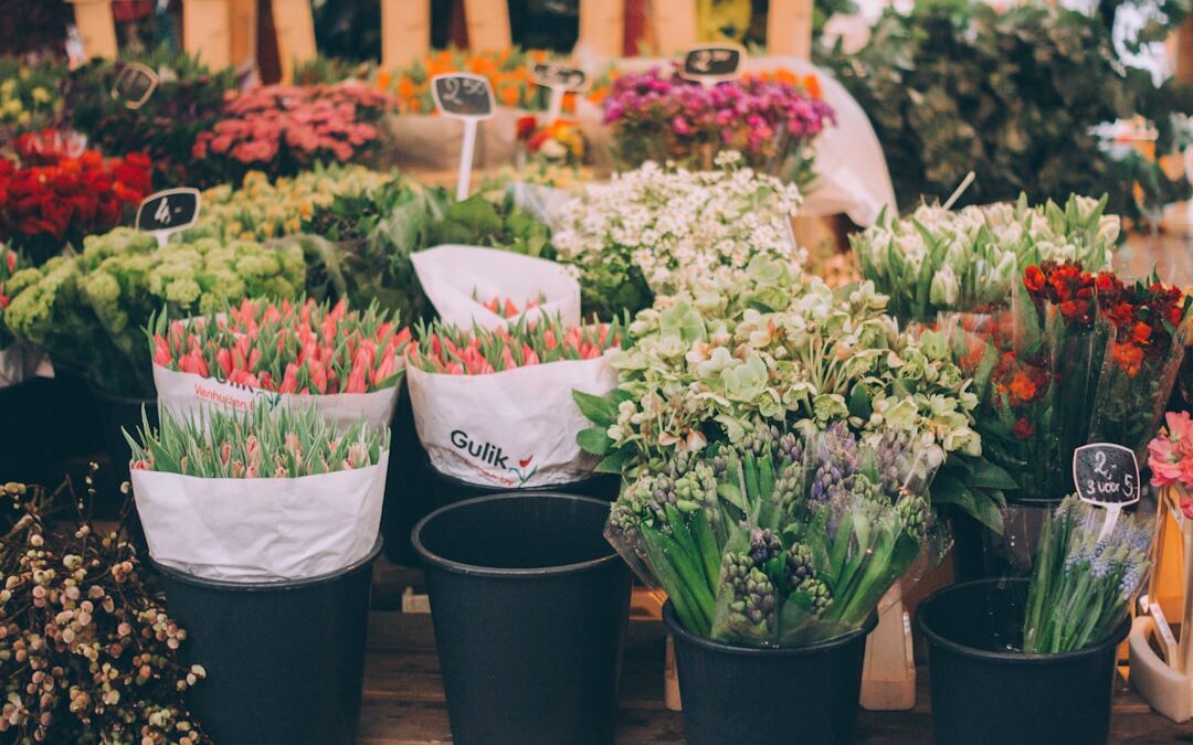 Leiden Verkeersregels: Wat Je Moet Weten voor Je Rijbewijs